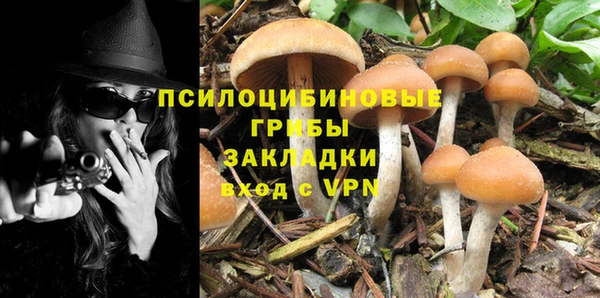 прущая мука Абинск