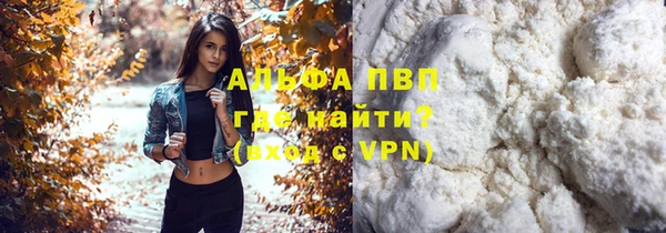 твердый Абаза