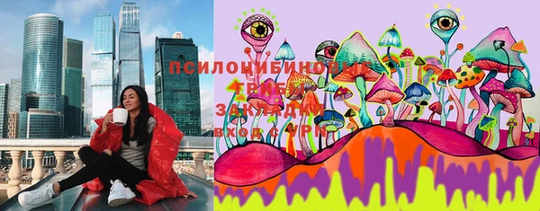 метадон Алексеевка