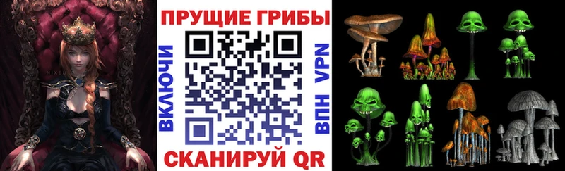 Псилоцибиновые грибы мицелий  Брюховецкая 